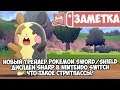 Новый трейлер Pokemon Sword/Shield • Дисплеи Sharp в Nintendo Switch • Что такое стритпассы?