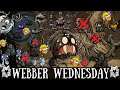 Webber Wednesday! - Nonsensical, Beard-Failing Tomfoolery - Fuelweaver Fail [Don't Starve Together]