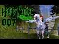 Harry Potter und der Gefangene von Askaban #007 ⚡️ PC 100% ∞ Flug auf Seidenschnabel ∞ LP Gameplay