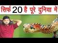 Sirf 20 Hai Pure Duniya Me - दुनिया के सबसे Rare साँप - Snakes & Various Random Facts - FactTechz