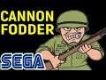 ПУШЕЧНОЕ МЯСО СЕГА - Cannon Fodder Sega