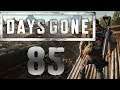 Lets Play Days Gone - Part 85 - Old Pioneer Nero-Kontrollpunkt