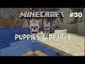 Puppies & Pearls 30 Minecraft 1.14 Amplified