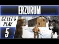 Tajemný Meteorit a Vlk VS Medvěd? | Erzurum #5 | CZ Let's Play