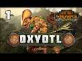 THE HIDDEN HUNTER RISES! Total War: Warhammer 2 - Oxyotl - Lizardmen Mortal Empires Campaign #1