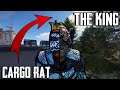FROM CARGO RAT TO UNSTOPPABLE KING! (Rust)