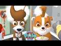 Paw Patrol A Day in Adventure Bay VS Adventure On A Roll - Rocky Daily Life - Skye Rubble On A Roll!