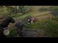 Red Dead Redemption 2_12