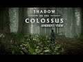Shadow of the Collosus | 4K "Field Day" Multi-Scene Ambient View (No Commentary or Gameplay)