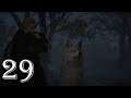 Assassins Creed Valhalla - Part 29 - A Kittle Problem