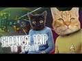 Shortest Trip to Earth - CAT SHIP