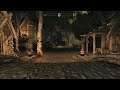Skyrim | Whiterun Night Tour! (PS4 1080p)
