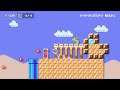 Temple run by Shnayd 🍄 Super Mario Maker 2 ✹Switch✹ #aqg