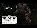 The Witcher 3 Wild Hunt in 4K UHD Playthrough Raw Footage Part 7