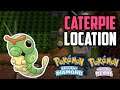 How to Catch Caterpie - Pokémon Brilliant Diamond & Shining Pearl