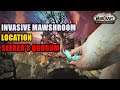 Invasive Mawshroom Seeker's Quorum