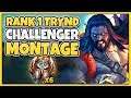 RANK 1 TRYNDAMERE WORLD MONTAGE - MULTI-SEASON CHALLENGER (INSANE PLAYS) - League of Legends