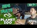 Sips Plays Planet Zoo - (7/11/19)