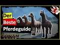 ► Conan Exiles Pferde 🦌  -#015: Pferdeguide - der beste Guide