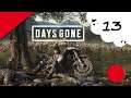 🔴🎮 Days Gone - ps4 - 13