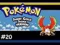 Pokemon Shiny Gold Sigma Version Gameplay Walkthrough #20 - Nidorino & Nidorina Level 57