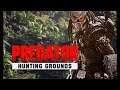 Predator  Hunting Grounds   (трейлер) 2019 PS4
