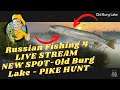Russian Fishing 4 LIVE STREAM NEW SPOT - Old Burg Lake  -  PIKE HUNT