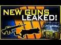 4 "New" Weapons Leaked in Black Ops 4...