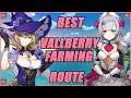 BEST VALBERRY FARMING ROUTE