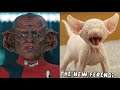 Never Feed a Ferengi After Midnight