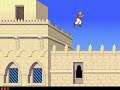 Prince of Persia 2 The Shadow & The Flame 1993 mp4 HYPERSPIN DOS MICROSOFT EXODOS NOT MINE VIDEOS