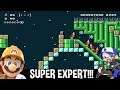 SKINNY DIPPING - Super Mario Maker 2 (Super Expert Levels)