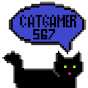 cat gamer567