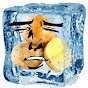 IceBite49