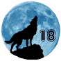 Onemanwolfpack18