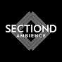 SectionD Gaming&Ambience