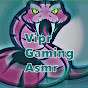 Vipr Gaming Asmr