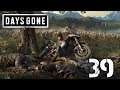 Full of it-Let's Play Days Gone Part 39