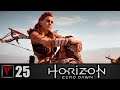 Horizon: Zero Dawn - Встреча с Аидом