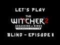 Let's Play The Witcher 2 Blind - Episode 11: "Also, what the heck just happened there?"