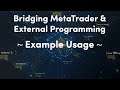 7) Example Usage | DWX ZeroMQ Connector for Algorithmic Trading