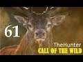 TheHunter Call of the Wild БОЛЬШАЯ ПОДБОРКА РАЗНЫХ ТРОФЕЕВ # 61