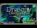 Divinity Original Sin 2 | Honour Mode Walkthrough | Part 242 Altar to Vrogir