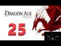 Dragon Age: Origins (Najvyššia obtiažnosť) Vojna o korunu # 25