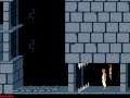 Prince of Persia 1990 mp4 HYPERSPIN DOS MICROSOFT EXODOS NOT MINE VIDEOS