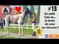 Rival Stars Horse racing - EP13 -  Tutoriel Courses, entraînement et Stats des chevaux !