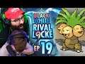 HOW DID YOU NOT KNOW!? | Pokemon Black and White Randomized Rival Locke Ep 19