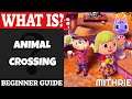 Animal Crossing Introduction | What Is Series