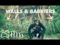 Building Walls and Barriers | Ancestors: The Humankind Odyssey