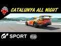 GT Sport FIA Nation & Daily Race C